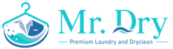 Mr. Dry Logo
